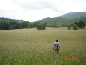 Cave Hill June 05