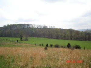 Cave Hill Rd. 073