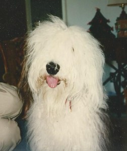 Scan0001